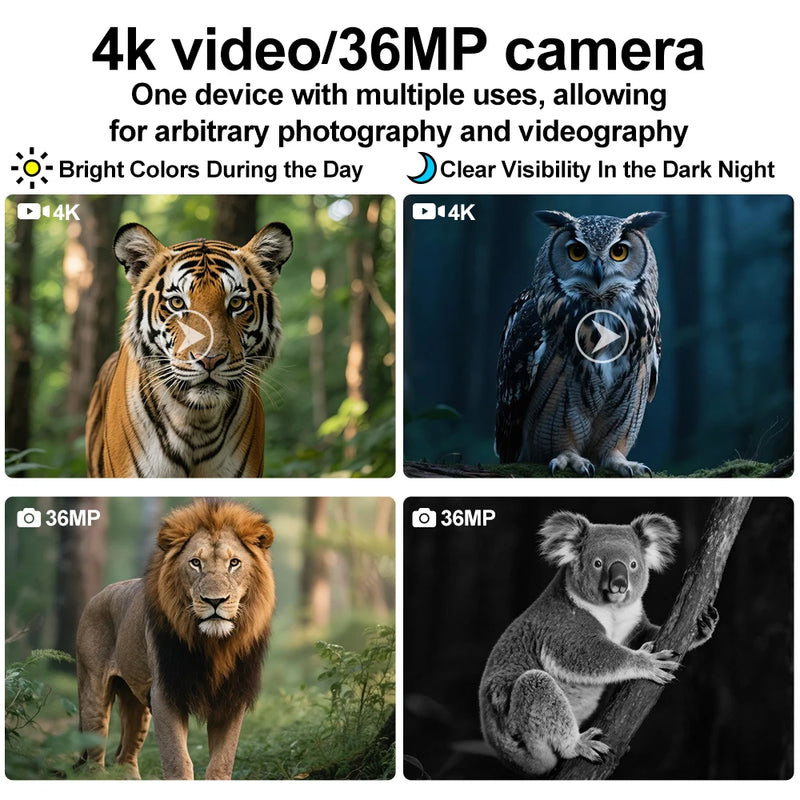 Monoculaire de Vision Nocturne Numérique 4K à Fixer sur la Tête, vue 4